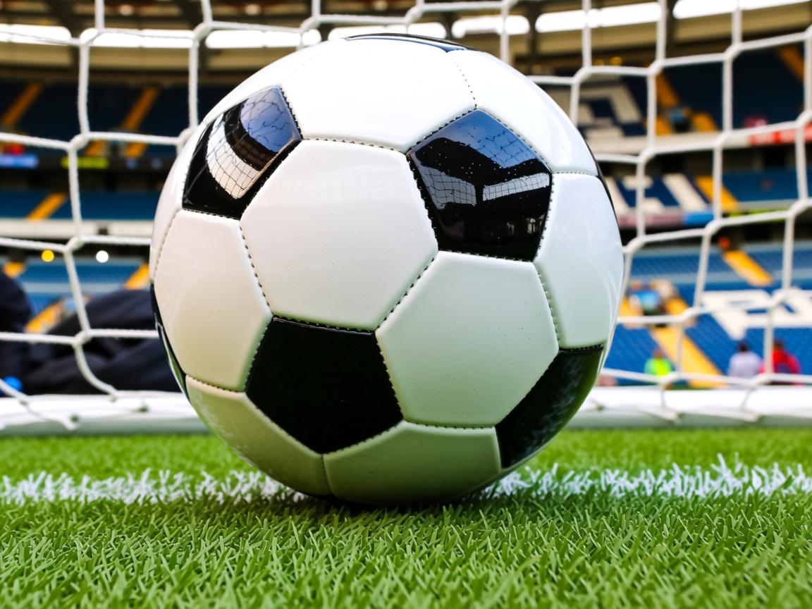 爱游戏体育官网-加拿大乒乓队未来展望：打造全面发展的世界级队伍，加拿大乒乓球组合  第2张