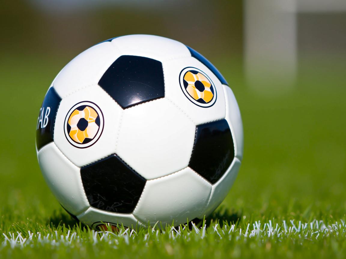 爱游戏app活动-王者荣耀全国联赛总决赛圆满落幕，王者荣耀全国总决赛2020